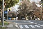 photo gallery